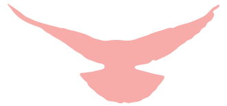 安徽省直機關(guān)書畫家協(xié)會召開主席團會議(圖3) 圖片