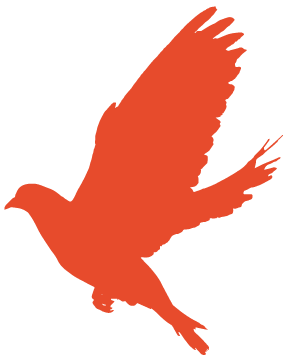 安徽省直機關(guān)書畫家協(xié)會召開主席團會議(圖1) 圖片