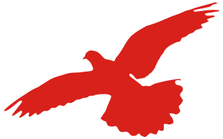 安徽省直機關(guān)書畫家協(xié)會召開主席團會議(圖2) 圖片