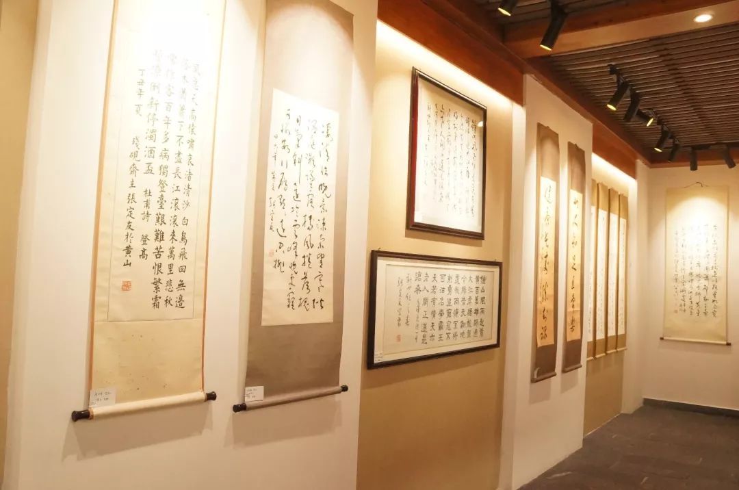 張定友書法藝術(shù)研討會(huì)順利召開(圖6)