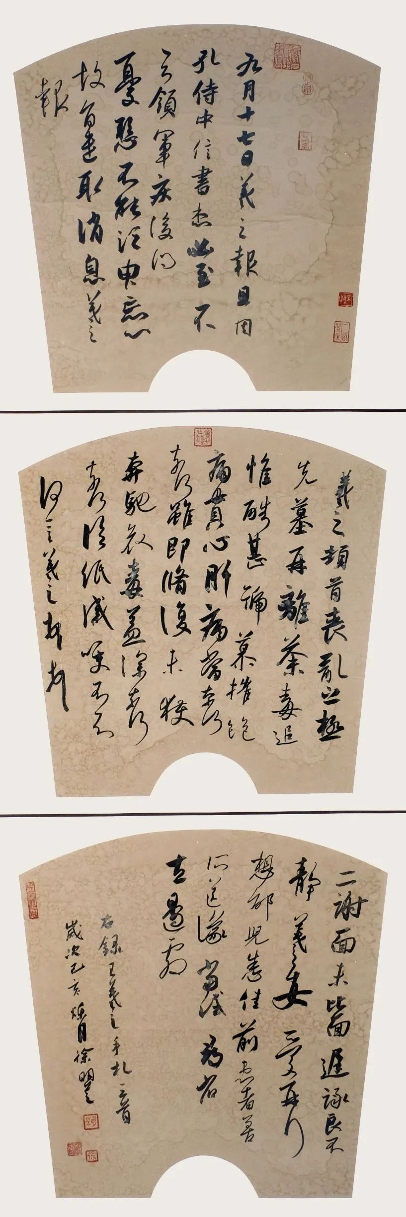 合肥市包河區(qū)書法家協(xié)會向包河區(qū)文化館捐贈書法作品(圖9)