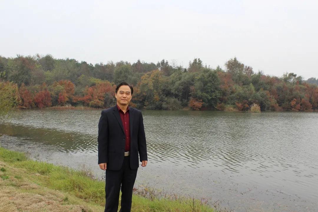 安徽省書協(xié)教育培訓(xùn)工作委員會給全省人民拜年啦！(圖45)